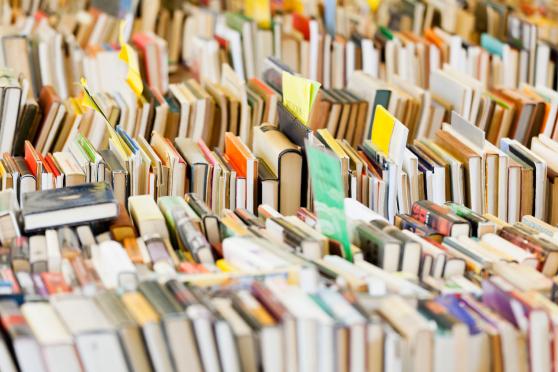 Die Stadtbibliothek am Floh- und Trödlermarkt Rapperswil