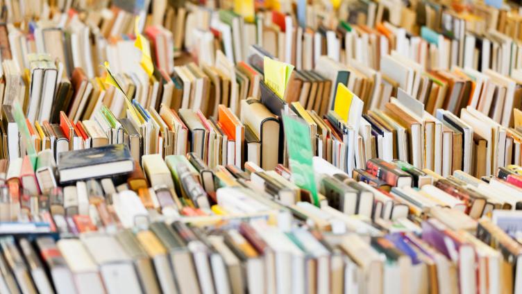 Die Stadtbibliothek am Floh- und Trödlermarkt Rapperswil