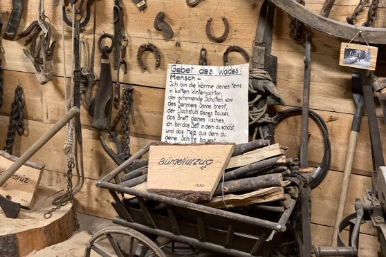 Holzkabinett: Tag der Offenen Tür