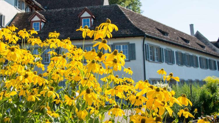 Offener Klostergarten