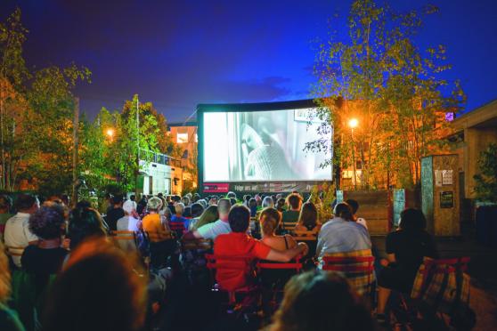 Kino im Beet