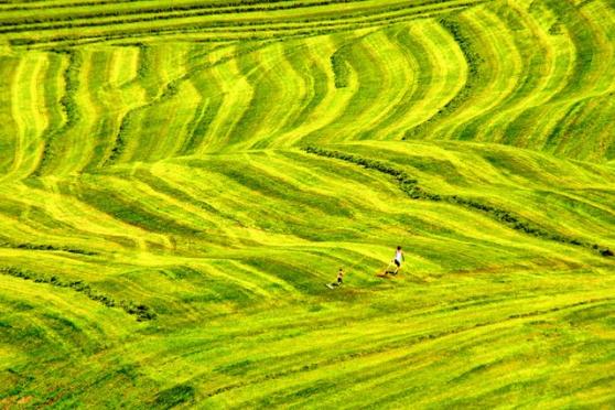 Roland Schuler – Fotokunst Amden + Anderes