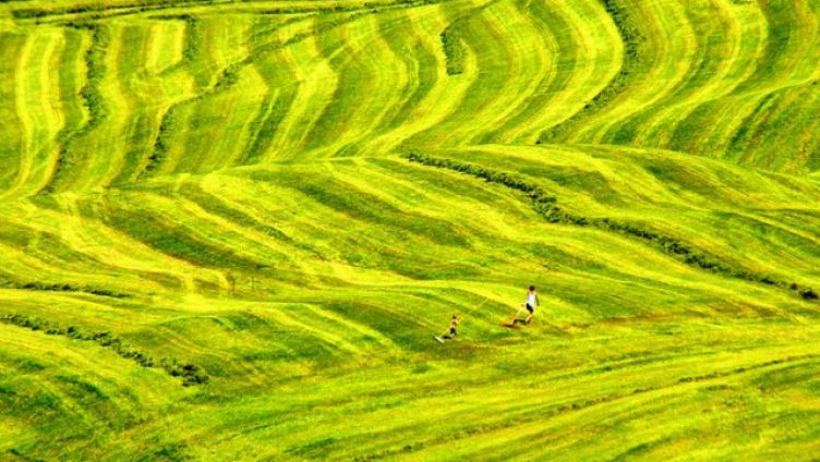 Roland Schuler – Fotokunst Amden + Anderes