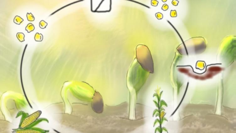 Wiedereröffnung der Saatgut-Bibliothek