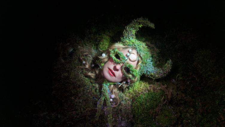 Livia Rita: Creatures & Wetlands